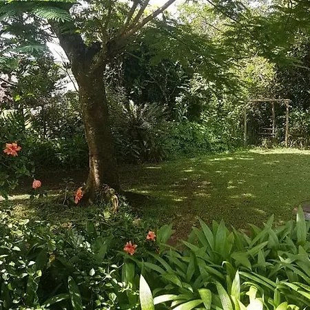 Mulberry Lane Hotel Graskop Exterior photo